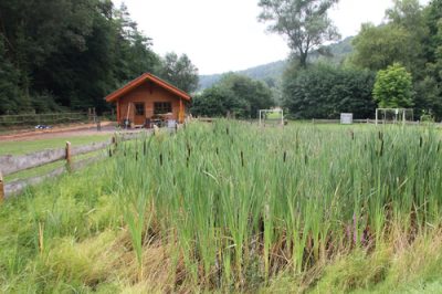 Kleinsägmühlerhofs in Altleinigen